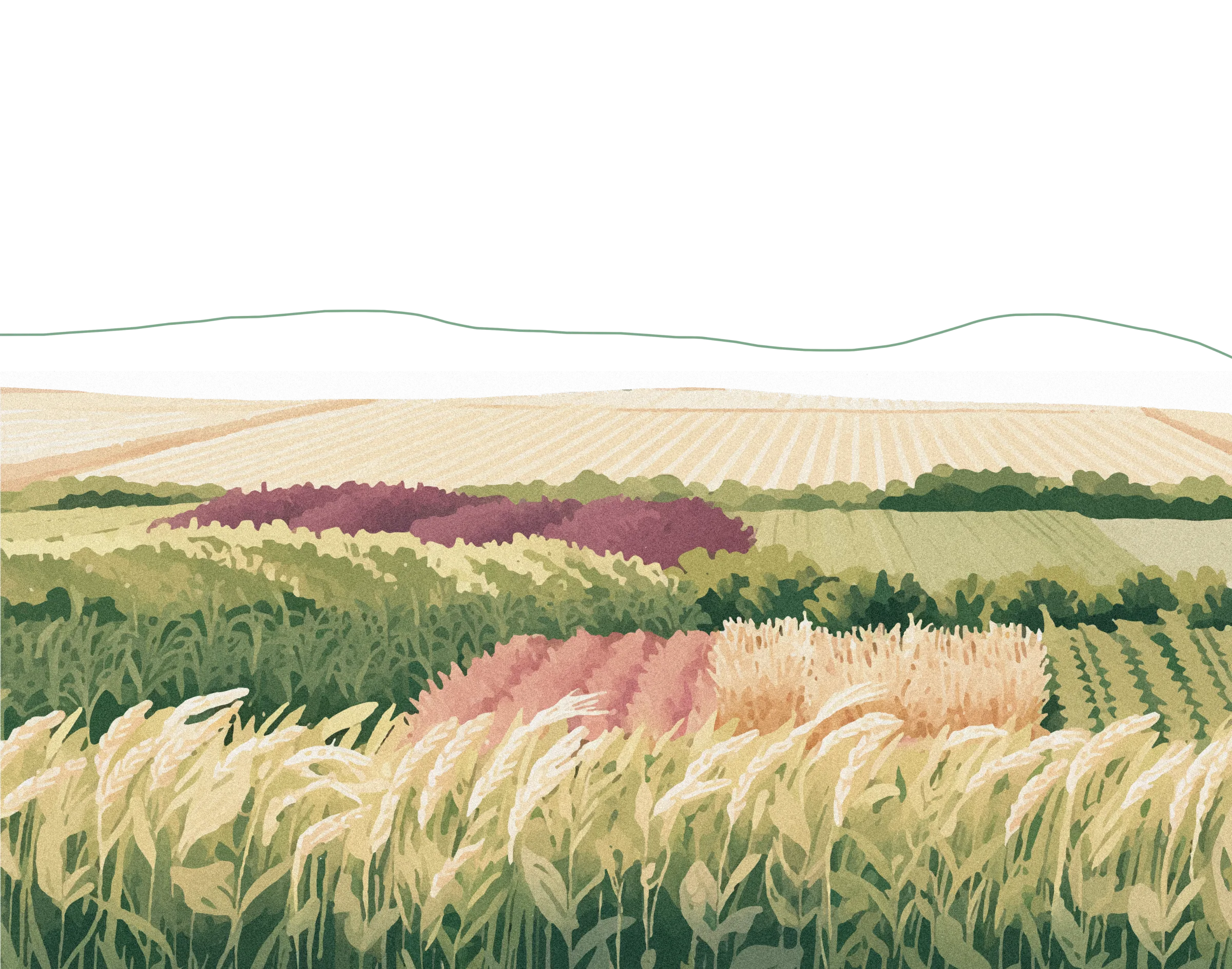 Regenerative agriculture landscape