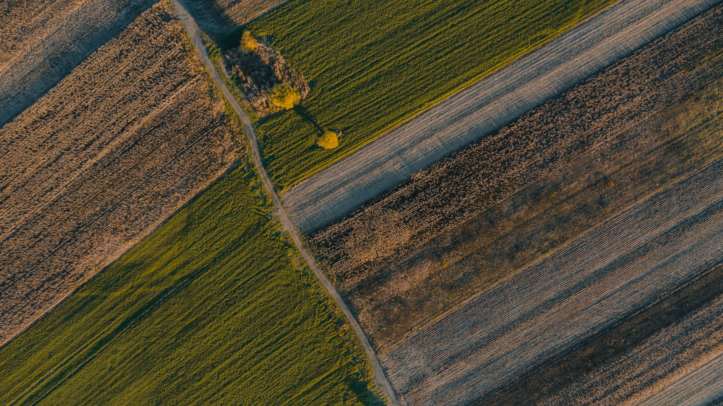 Aerial farmland