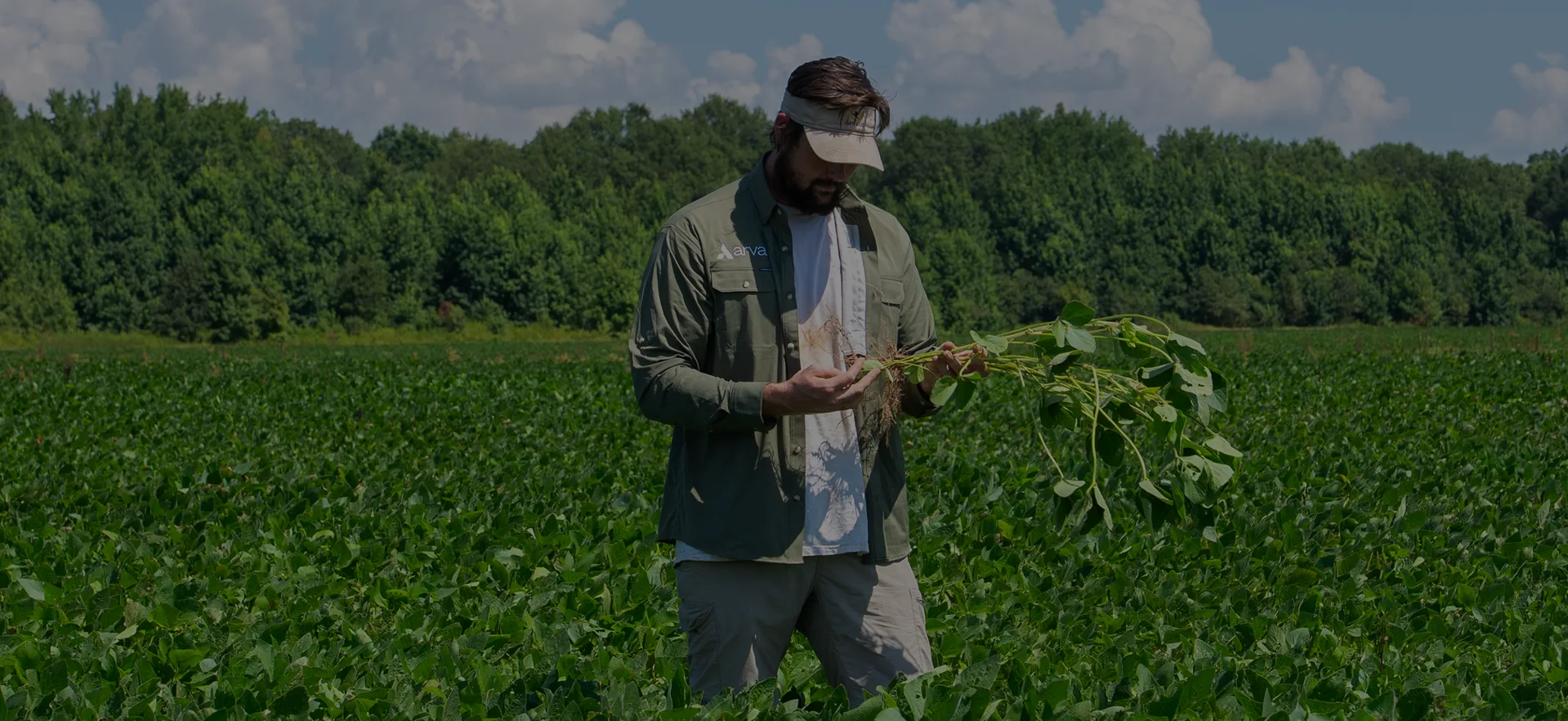 Farmer in field