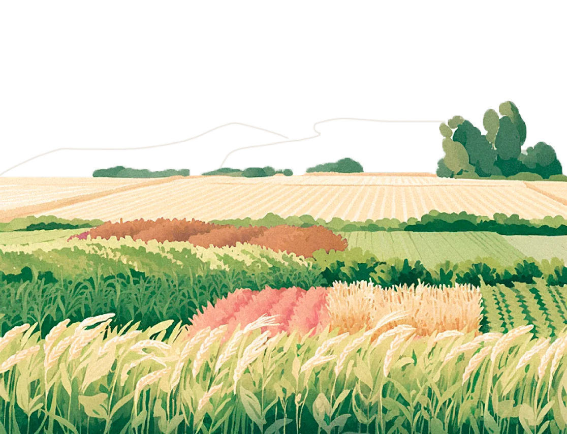 Implement Regenerative practices