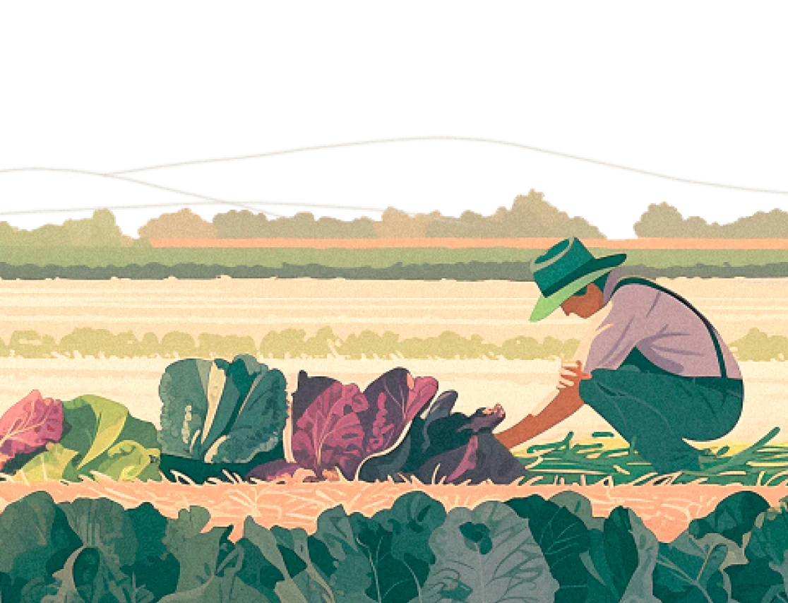 Improve soil health and store carbon