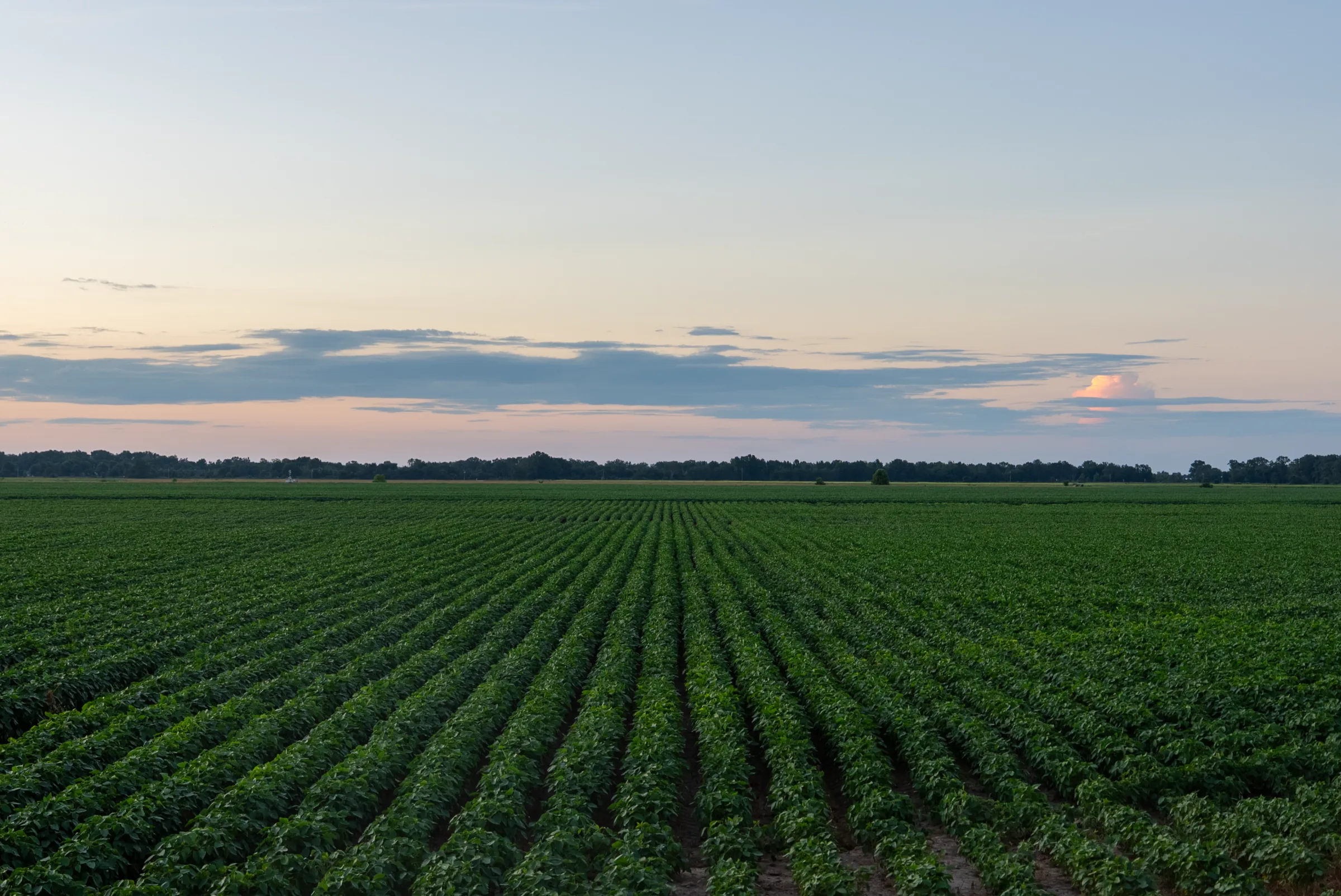 Acres