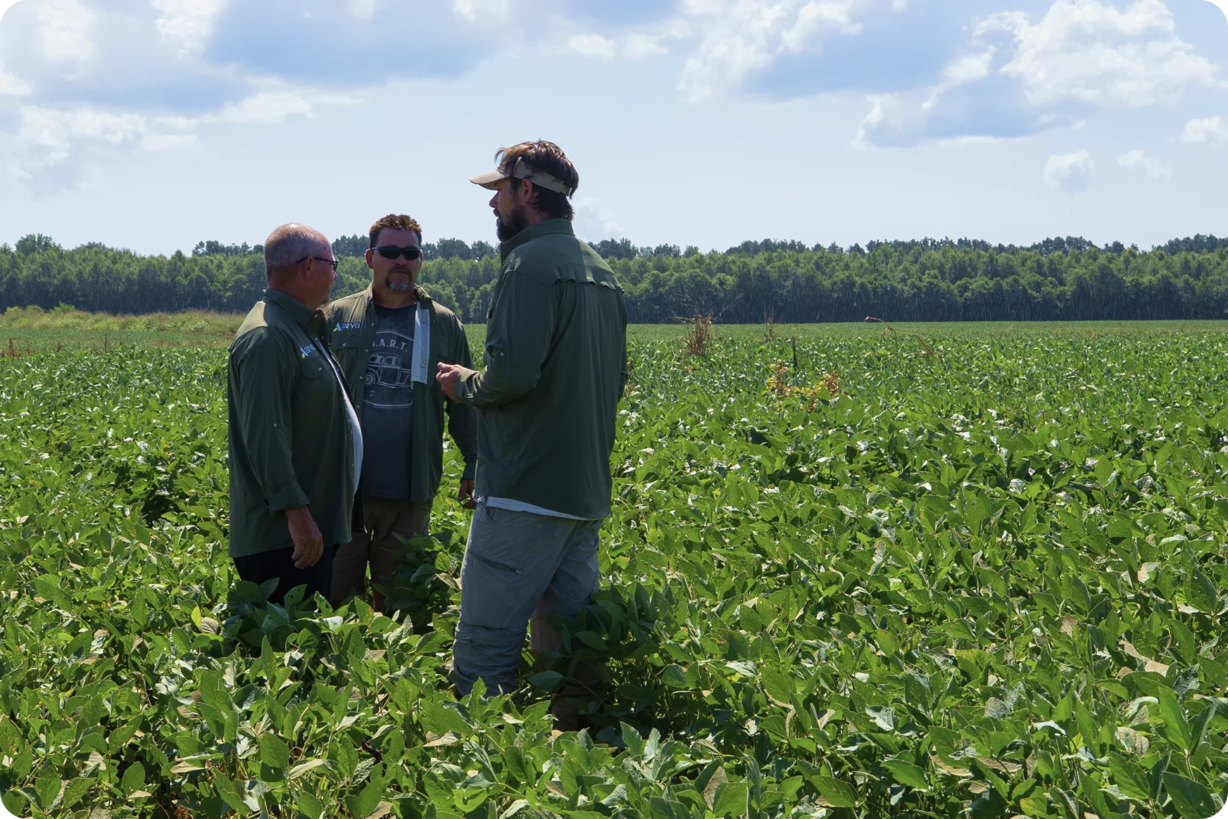 Consultores agrônomos na área de agricultura regenerativa.